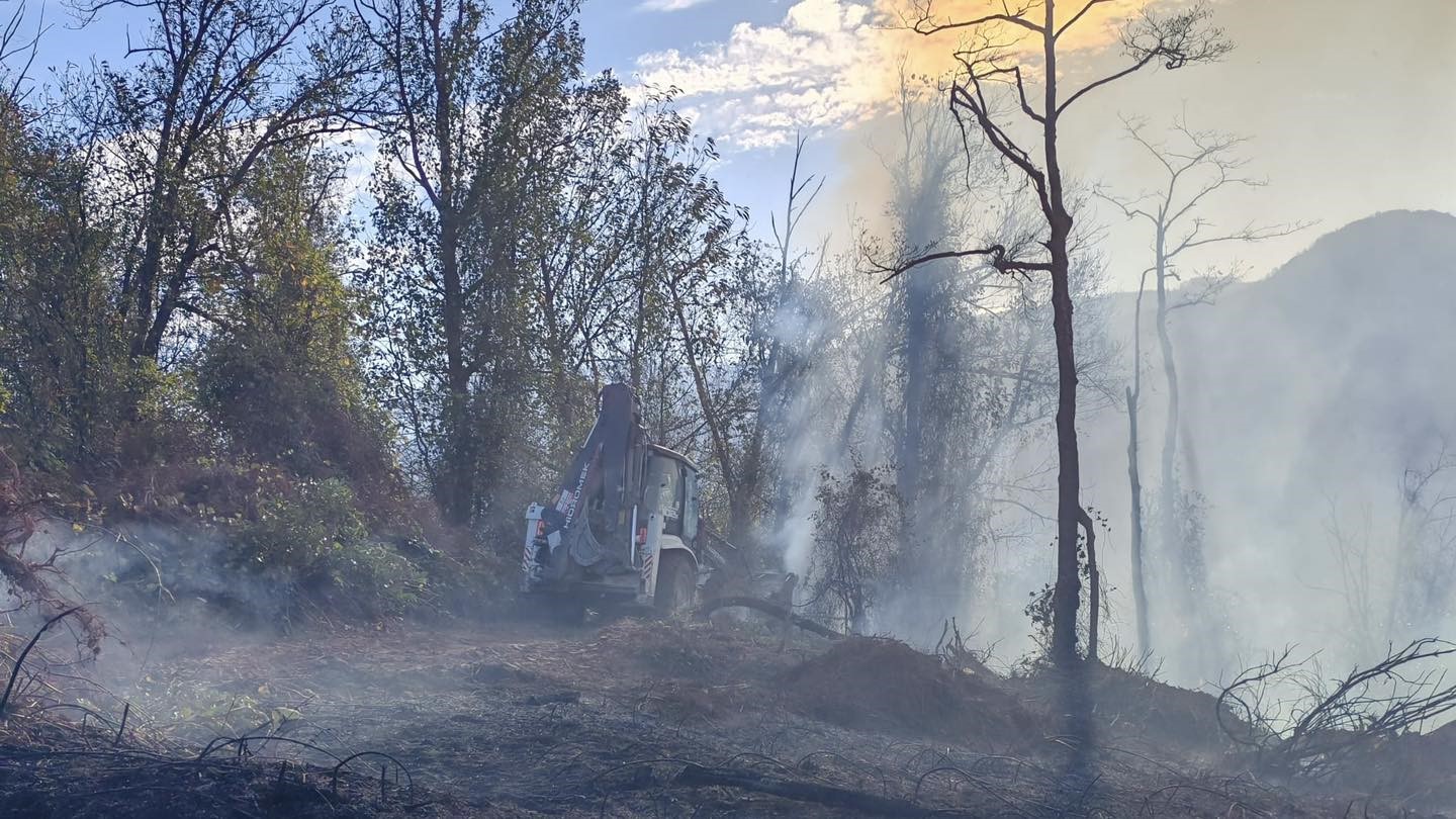 artvin orman yangını