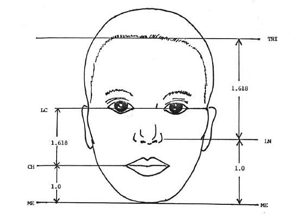 Altın Oran Ölçüleri