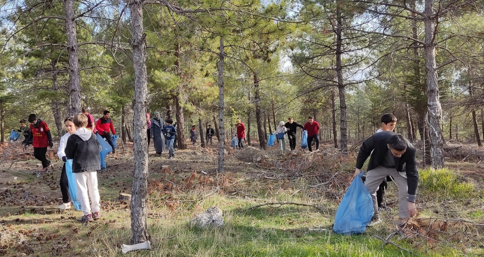 Ankara’da Sınıf Ormana Taşındı Öğrenciler Doğada Ders Işledi1