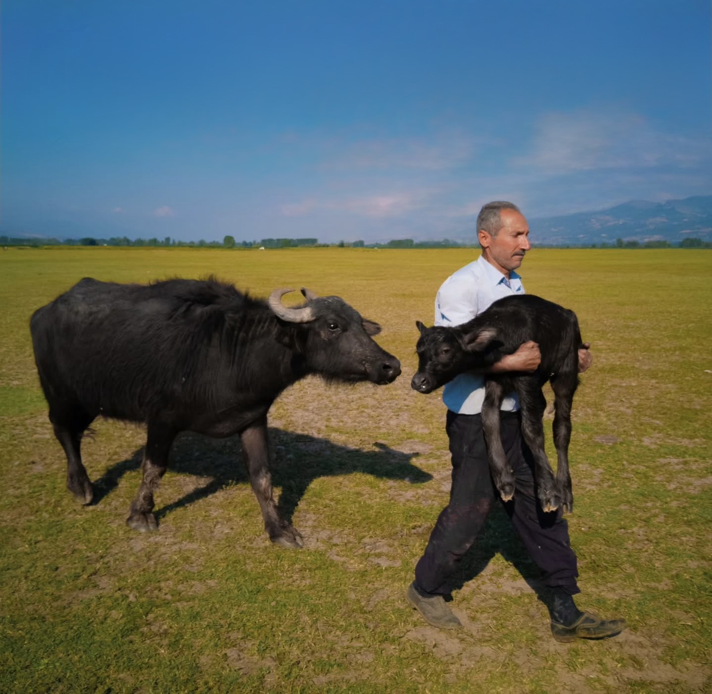 Çektiği Fotoğrafla Dünya Ikincisi Oldu! Paris’te Ödül Alacakken Vize Engeline Takıldı