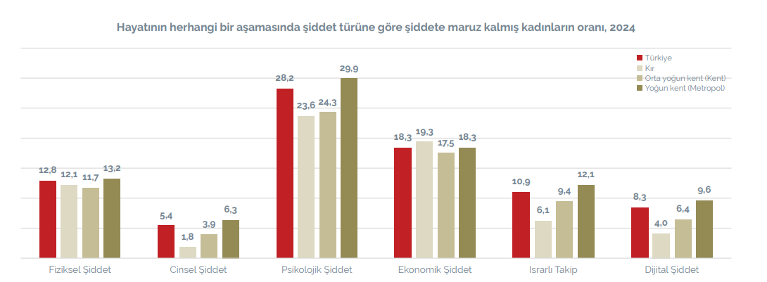 Kadına Yönelik Şiddet Raporu Şiddet Her Yerde