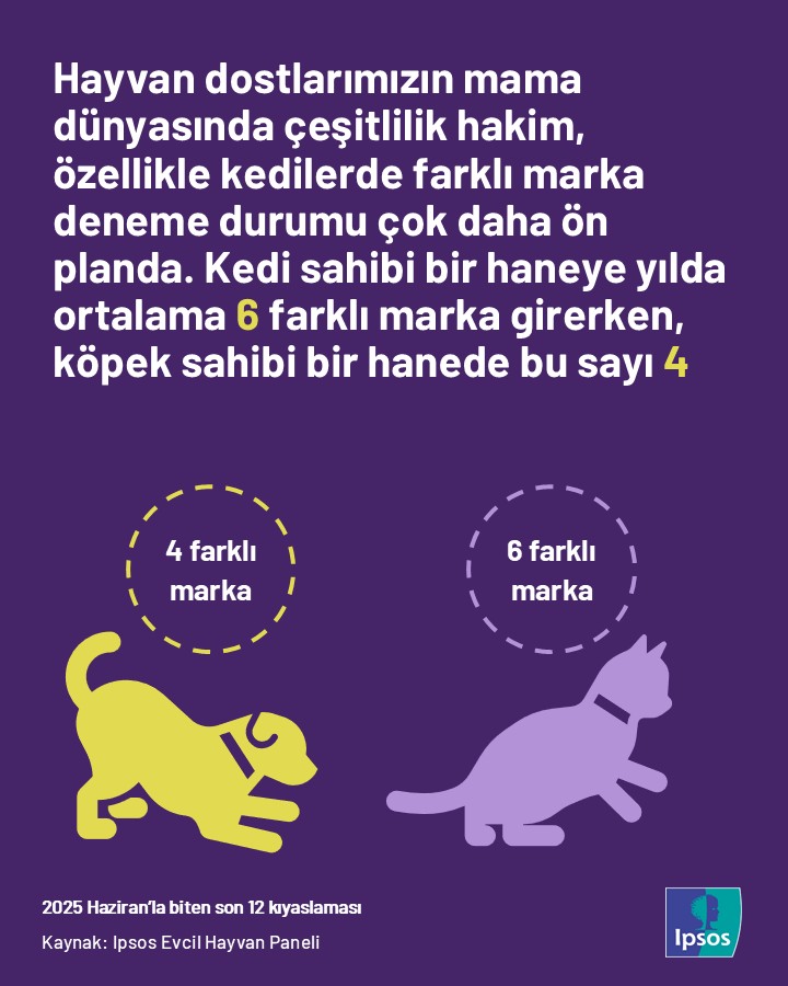 Mama, Atıştırmalık, Açık Ürünler... Evcil Dostların Tercihleri Belli Oldu1