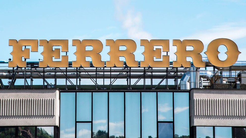 Nutella’nın Üretici Firması, Türkiye’den Fındık Alımını Durdurdu! Sebep Kokarca Böceği2