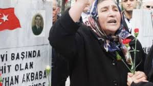 Pakize Akbaba Mücadelesi