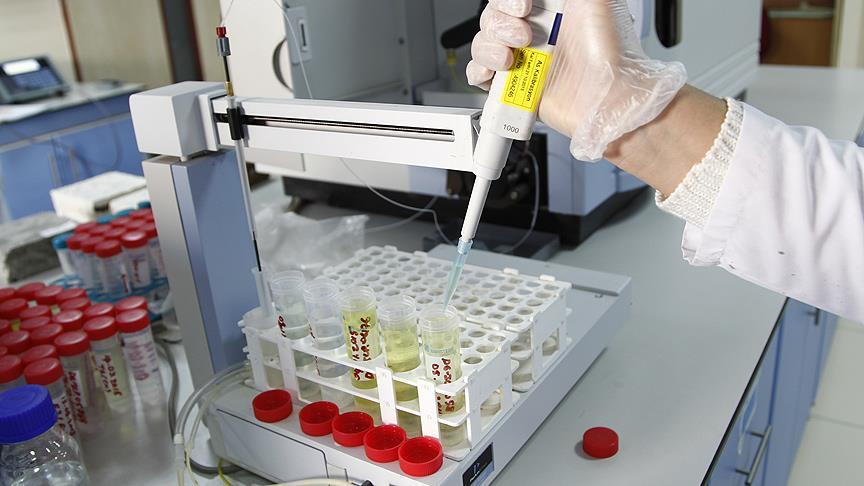 Thumbs B C 4Dd43Bf402Ce0E2A2C85919E0981De31