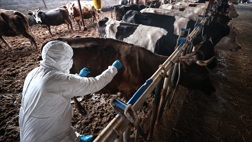 Thumbs B C 8D5E8590B3C9E102629218E22D5B646E