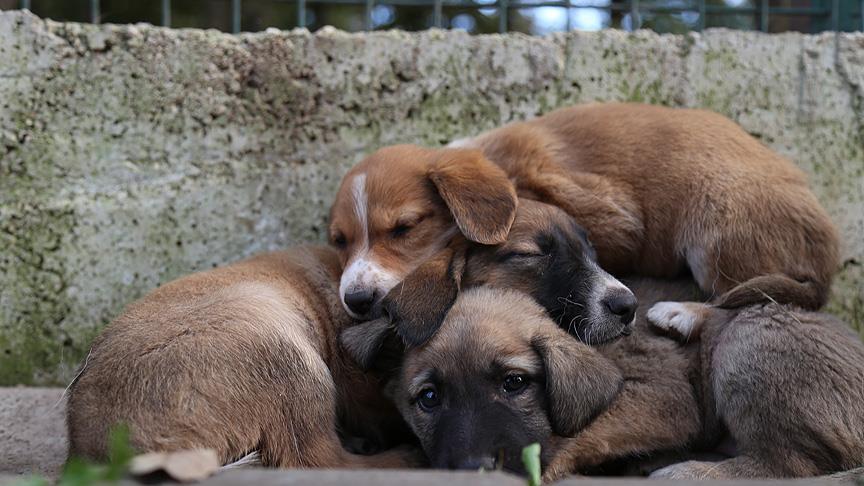 Thumbs B C E67Eacb847B971C67542A74Af87C4Ed3