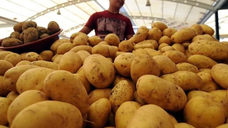 Ticaret Bakanlığı Patatesin Satış Fiyatı 12,75 Lira Seviyesinde1