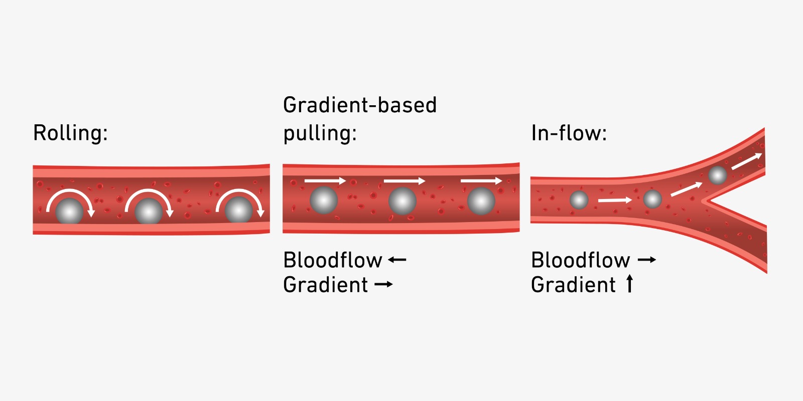 Whatsapp Image 2025 11 17 At 14.28.54