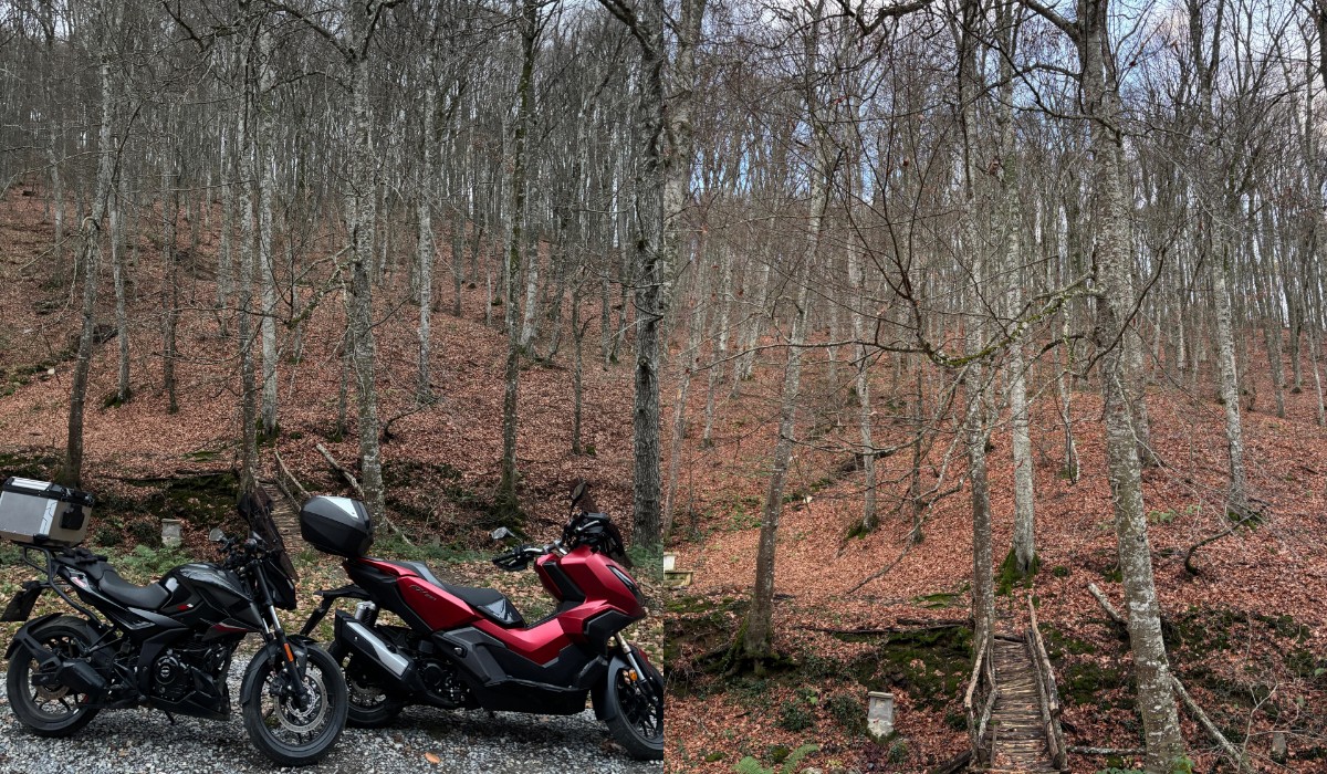 2 Kırklareli Dereköy Yolunda Harikalar Diyarı