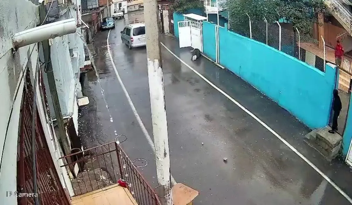 692Ffa8Dbaa30382 W1200Xh702