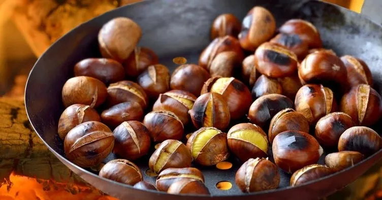 752X395 Kestane Nerede Yetisir Kestane Agaci Nasil Yetisir E1 1622460665319