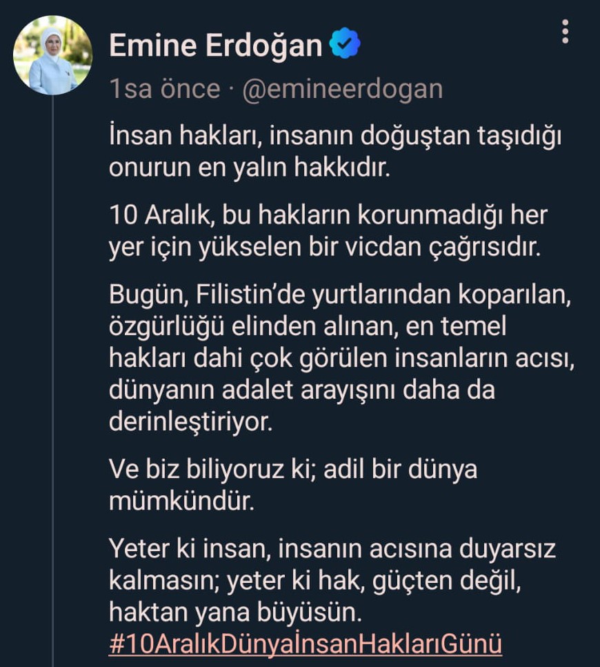 Emi̇ne Erdoğan X