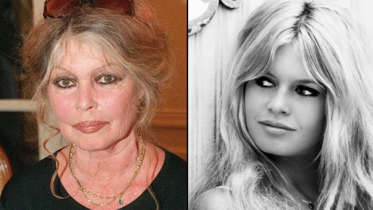 Fransiz Sinemasinin Yildizi Brigitte Bardot Hayatini Kaybetti Uass Cover