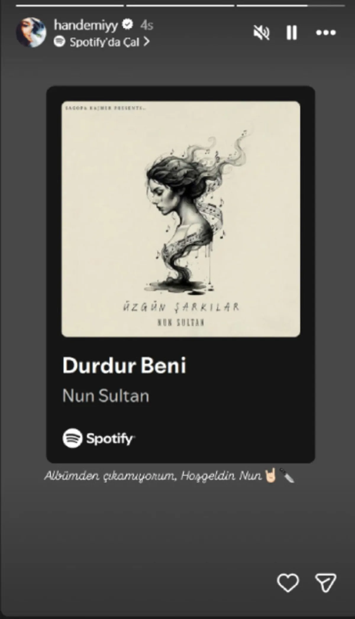 Hande Erçel Paylaşımı