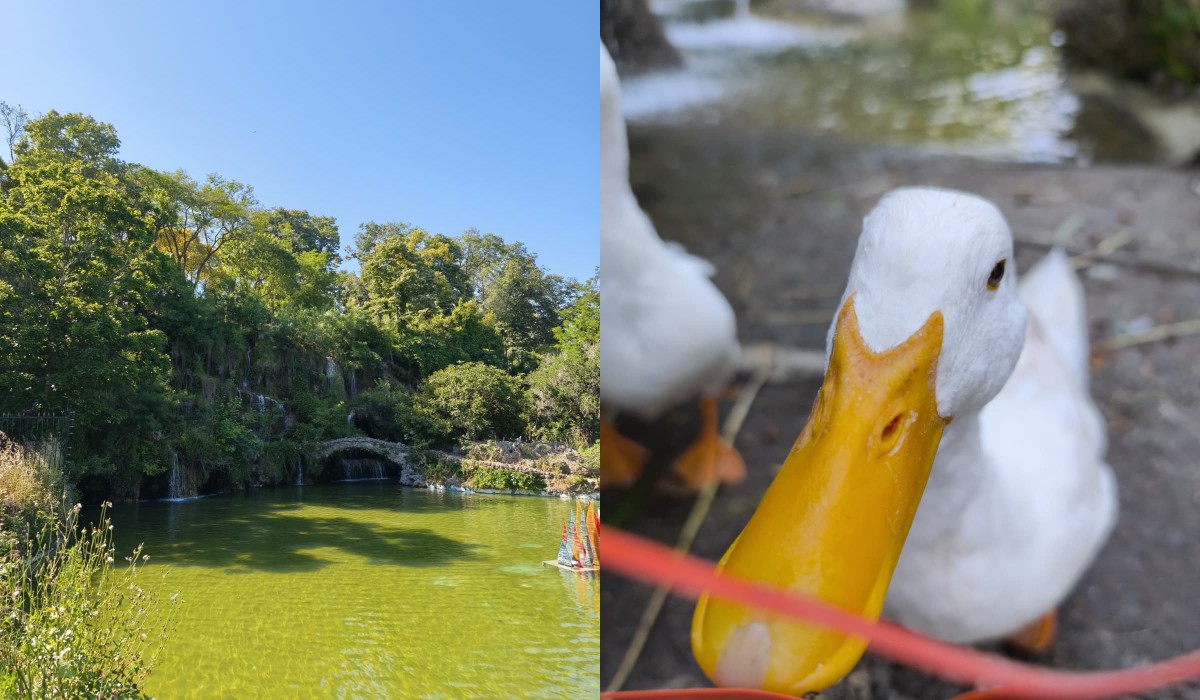 İstanbul’da Huzur Bulabileceğiniz Iki Rota Emirgan Korusu Ve Ihlamur Kasrı 1