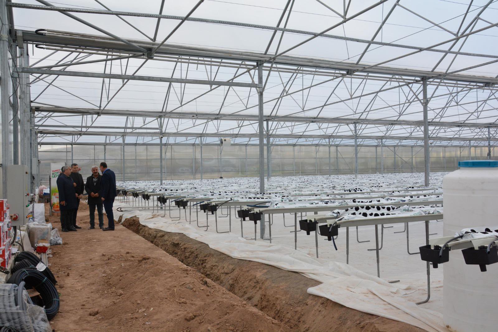 Kahramankazan'da Termal Sera Açılıyor 2