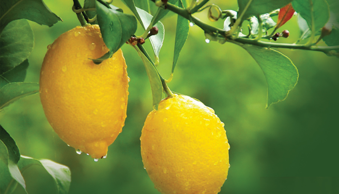 Resmen Altınla Yarıştı! 2025’In Zam Şampiyonu O Ürün Oldu1