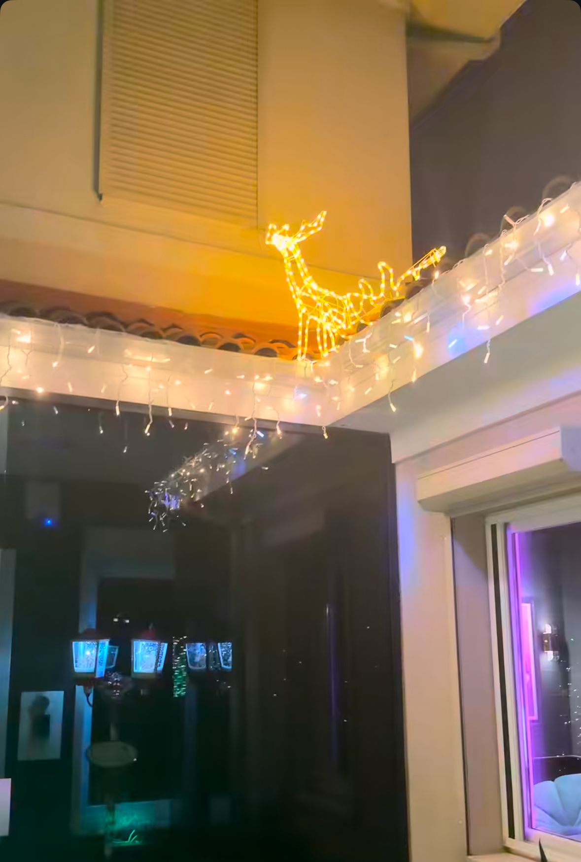 Whatsapp Image 2025 12 03 At 21.48.54