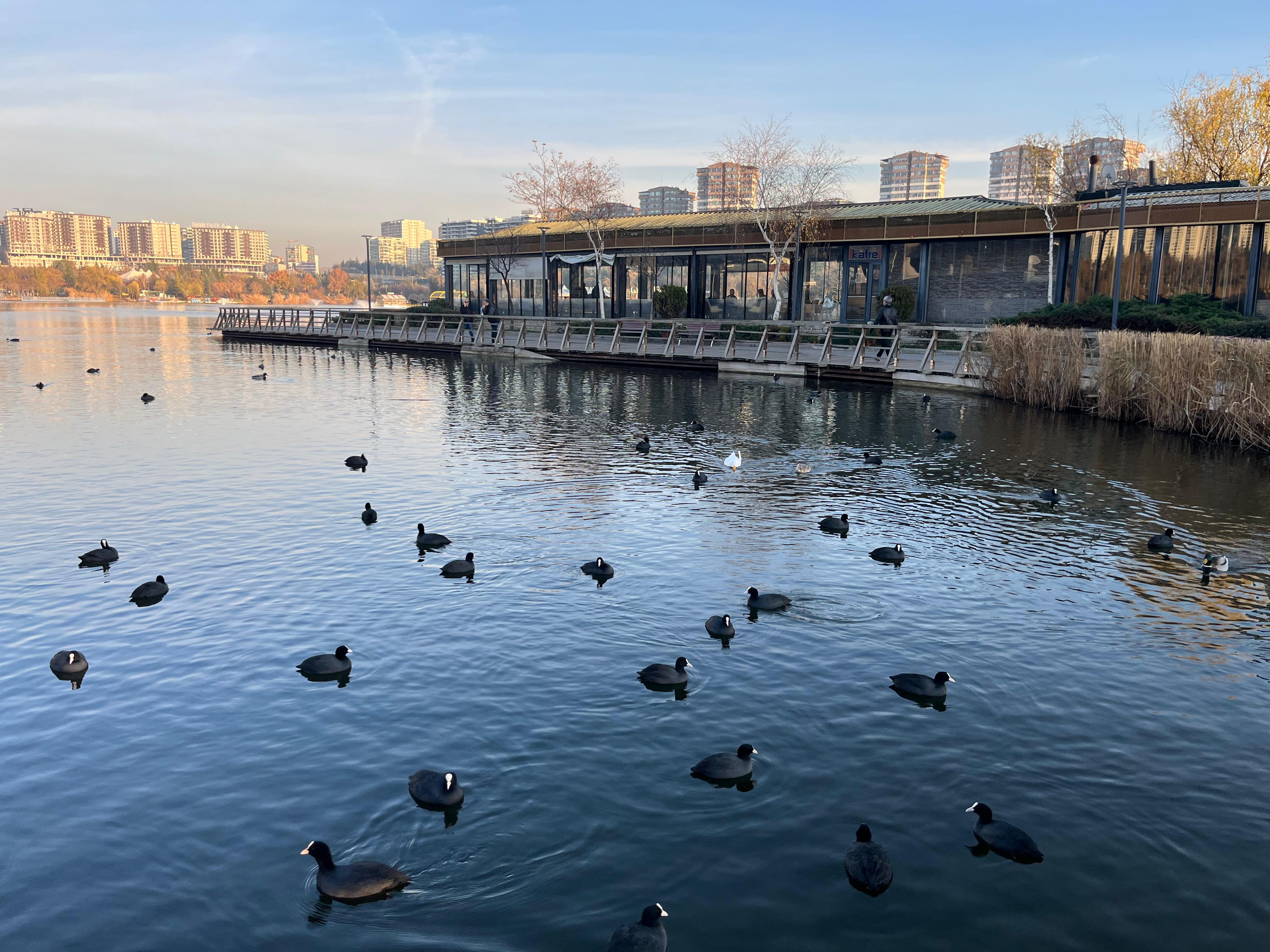 Whatsapp Image 2025 12 18 At 18.14.55 (2)