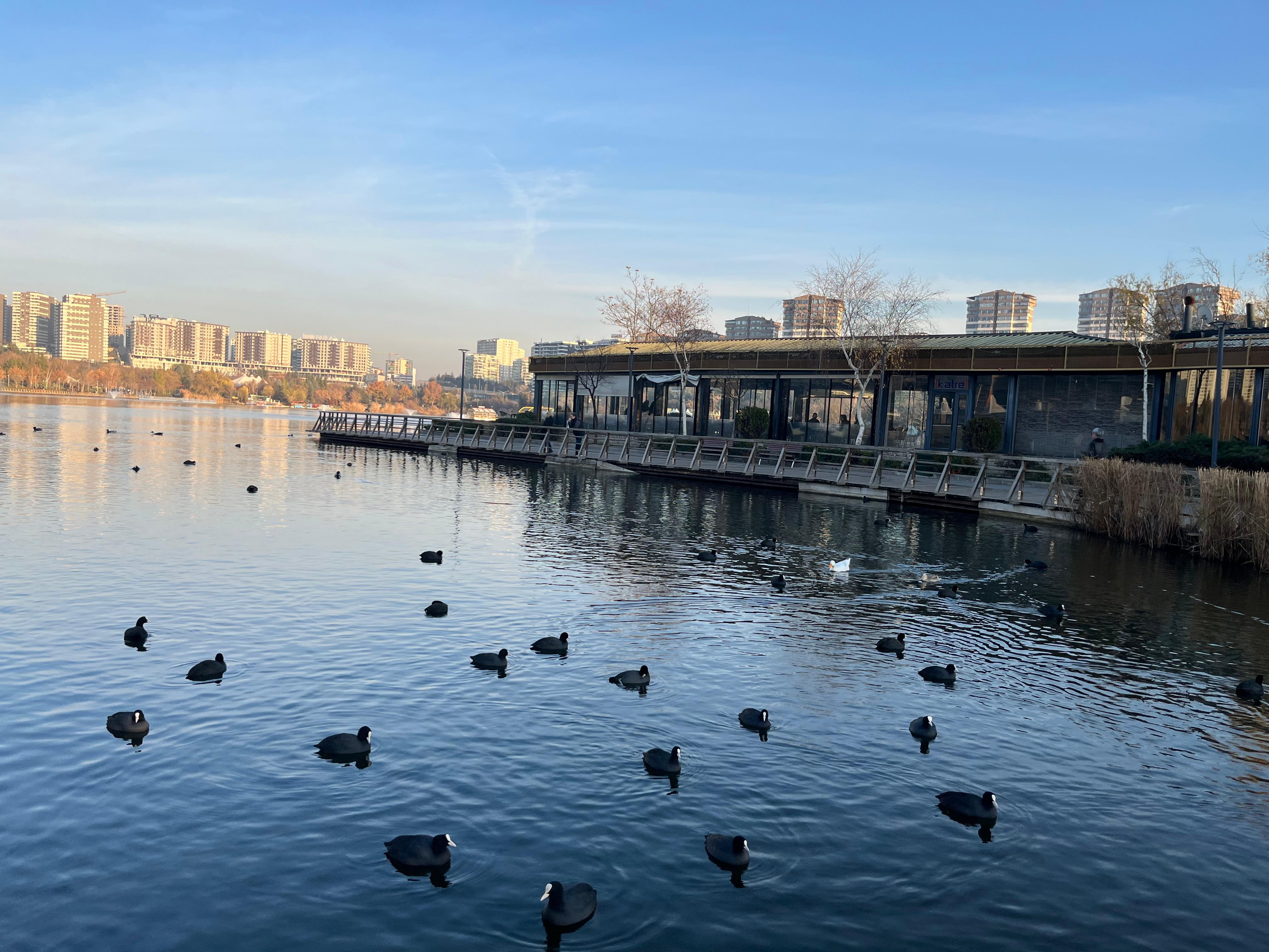 Whatsapp Image 2025 12 18 At 18.14.55 (4)