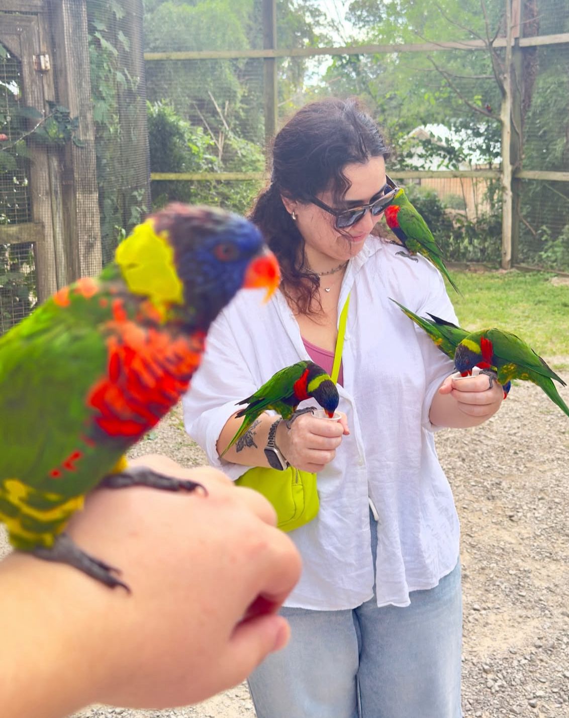 Whatsapp Image 2025 12 27 At 22.50.41 (1)