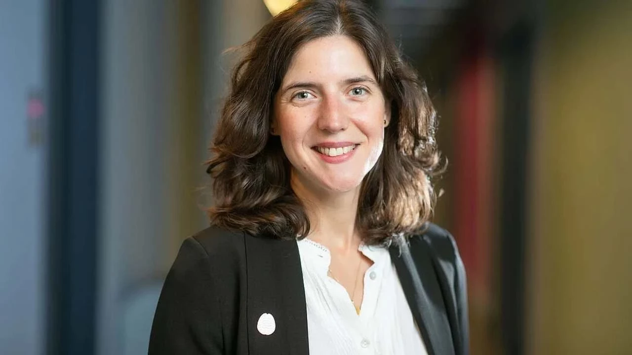 Yeni Proje 2025 12 04T104201 Zid2 Cover