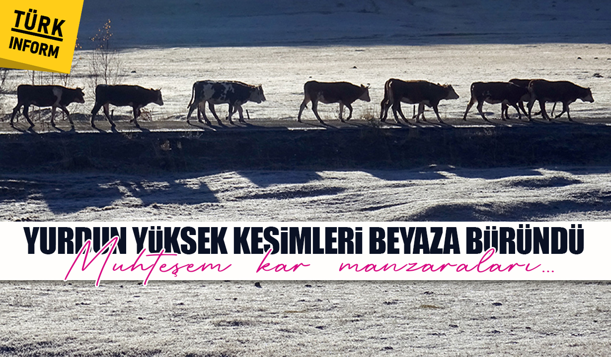 Yurdun yüksek kesimleri beyaza büründü: İşte muhteşem kar manzaraları...