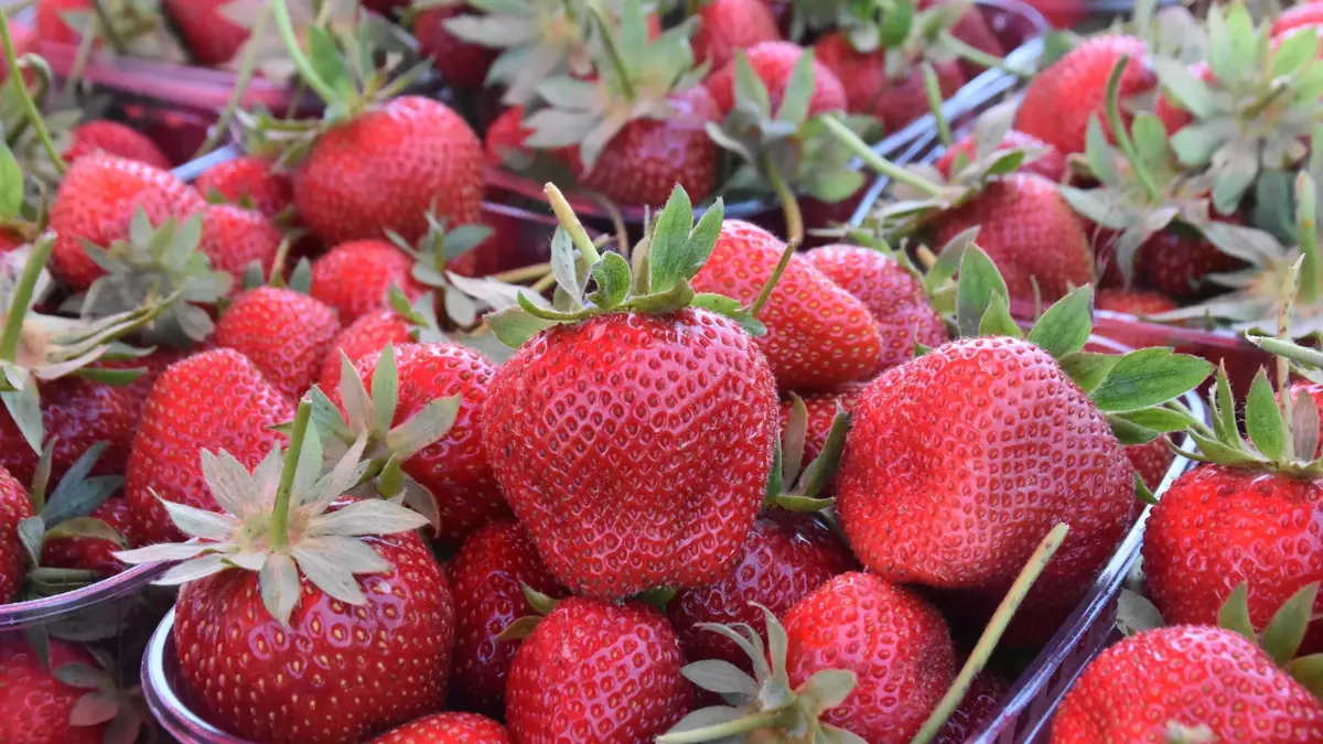 68381A2D1D04B558B1C15Ae1