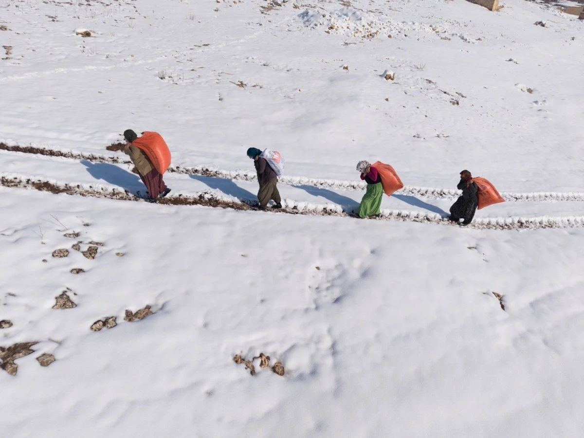 69772C3E2C3F9192 W1200Xh900