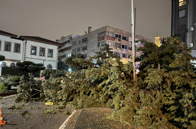 A A 20260126 40375328 40375326 A N T A L Y A D A E T K I L I O L A N F I R T I N A V E H O R T U M B A Z I E V S E R A V E A R A C L A R A Z A R A R V E R D I-1