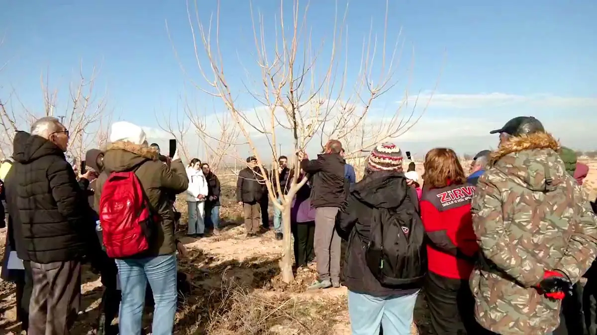 Abb Meyve Agaclarinda Budama Ve Terbiye Kursu 18012026 2 Flk7Qz0T