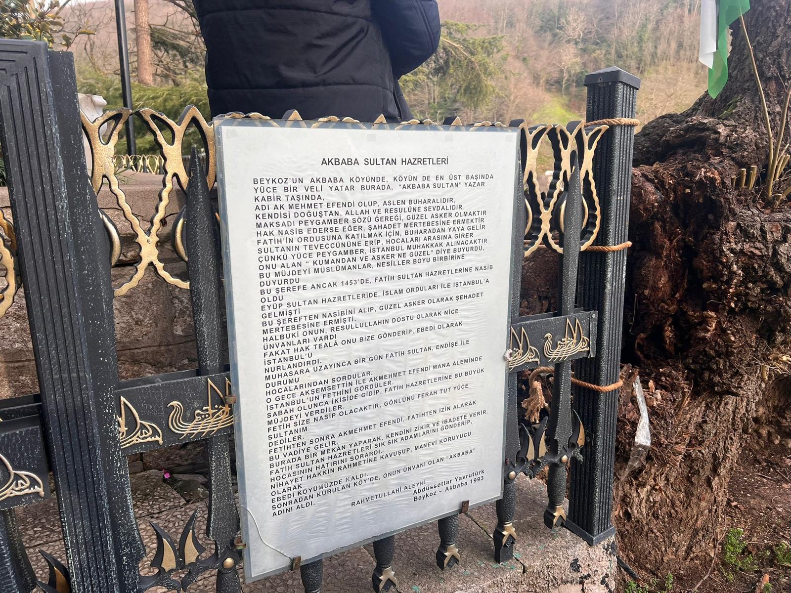 Akbabasultantürbesi4