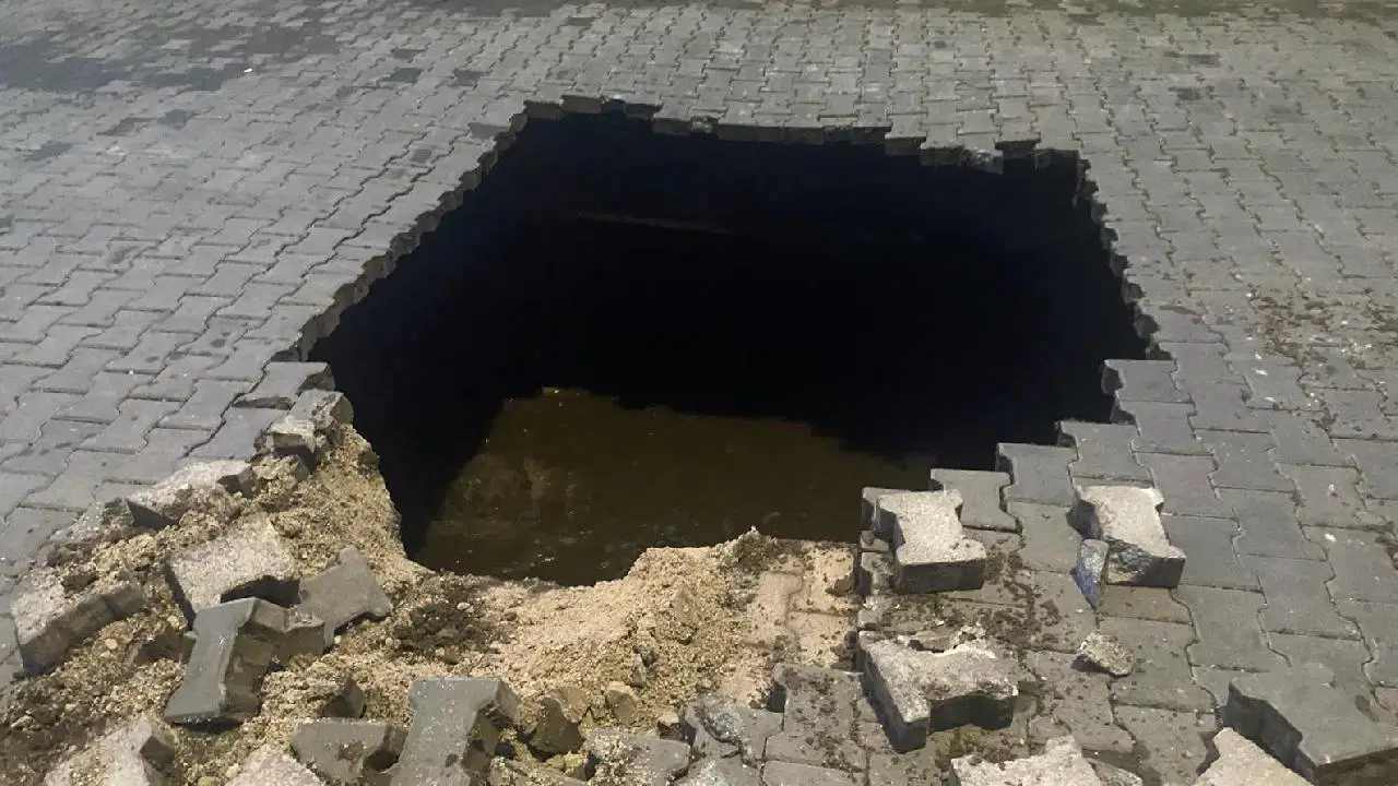 B6F0223C 9826 4A7C B801 6Ddbe53E26E9