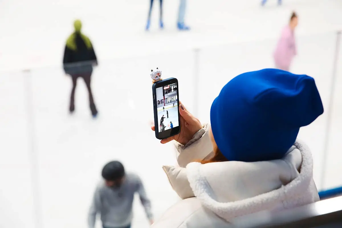 Belpa Buz Pateni 25012026 4 Syslnsih