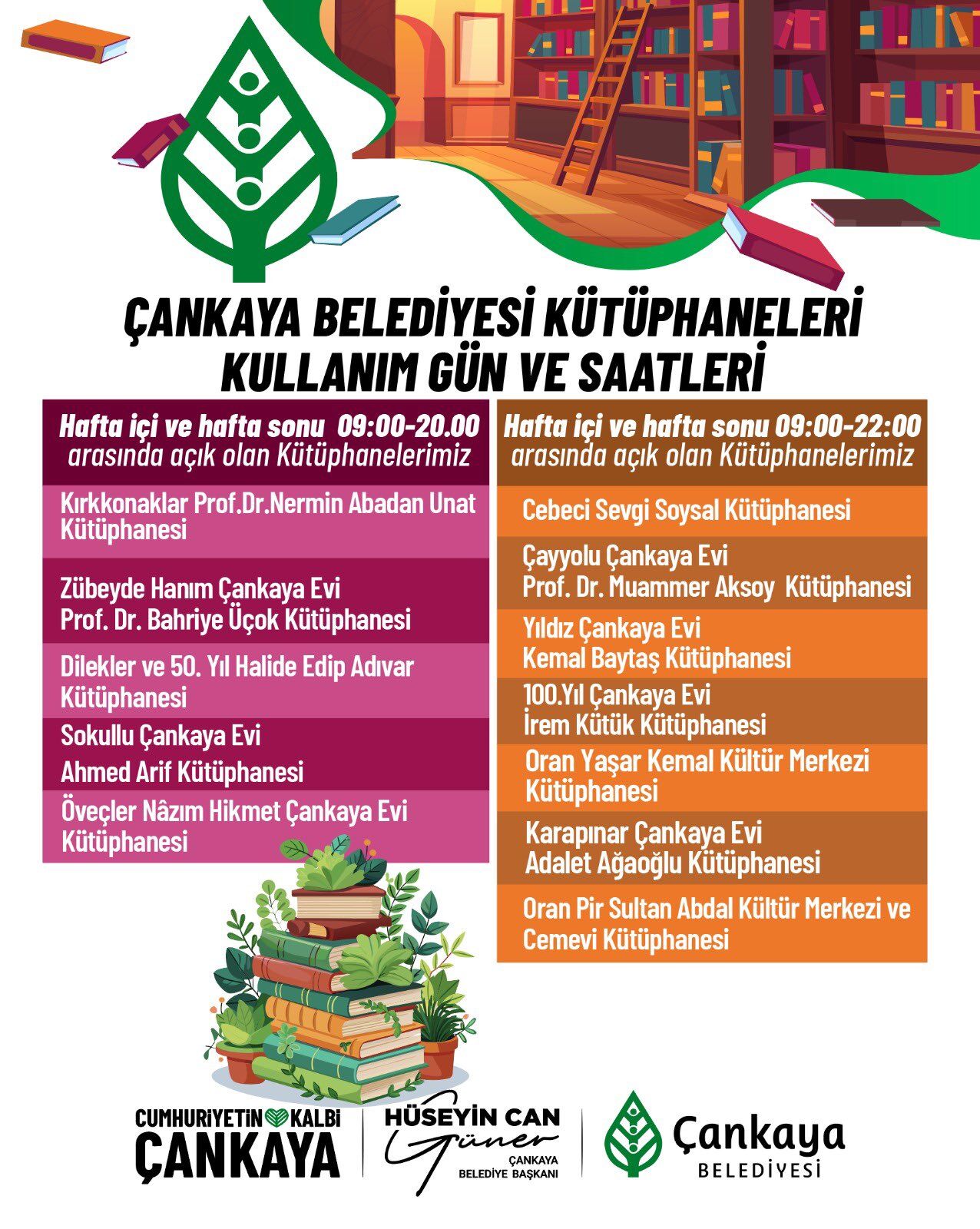 Çankayabel