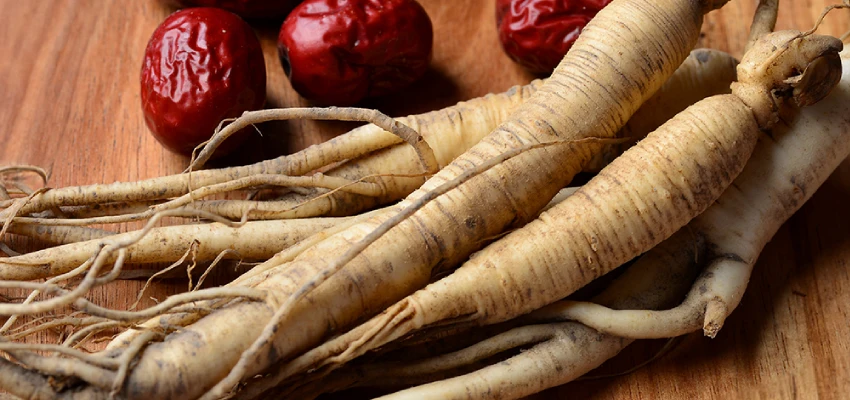 Ginseng Nedir-1