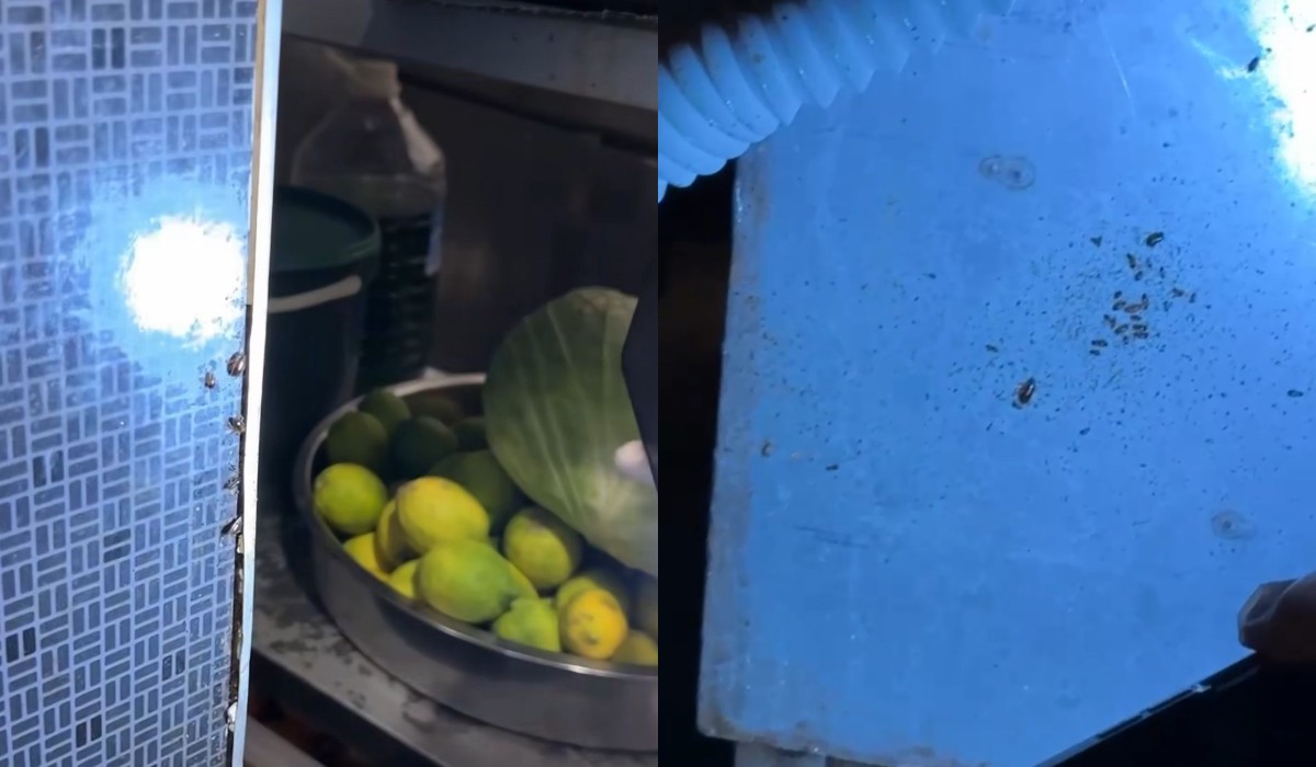 Hatay’daki Restoranda Mide Bulandıran Görüntüler Böcek Yuvaları Pes Dedirtti1