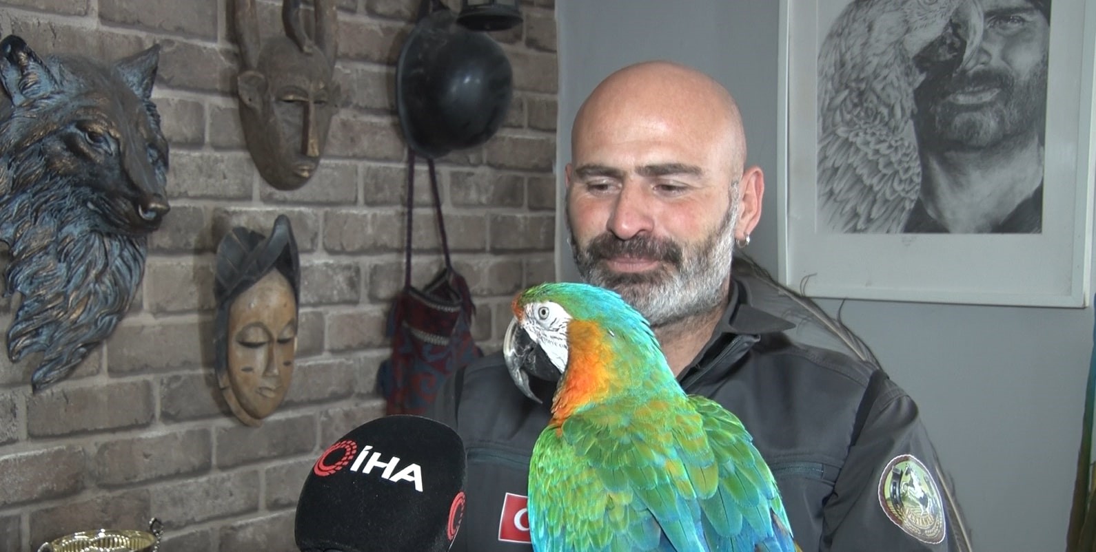 Hayvanlarlayaşam (14)