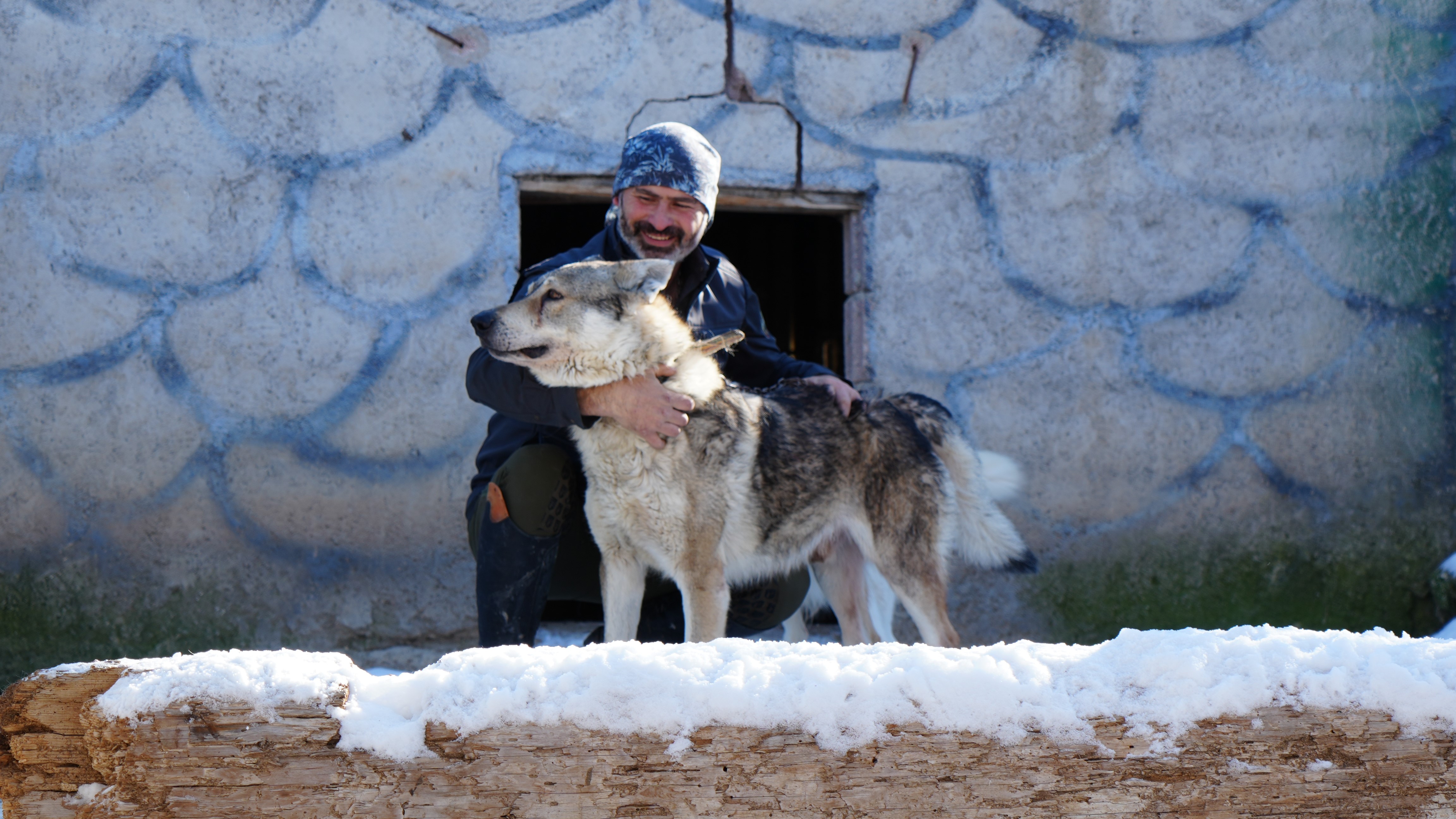 Hayvanlarlayaşam (4)