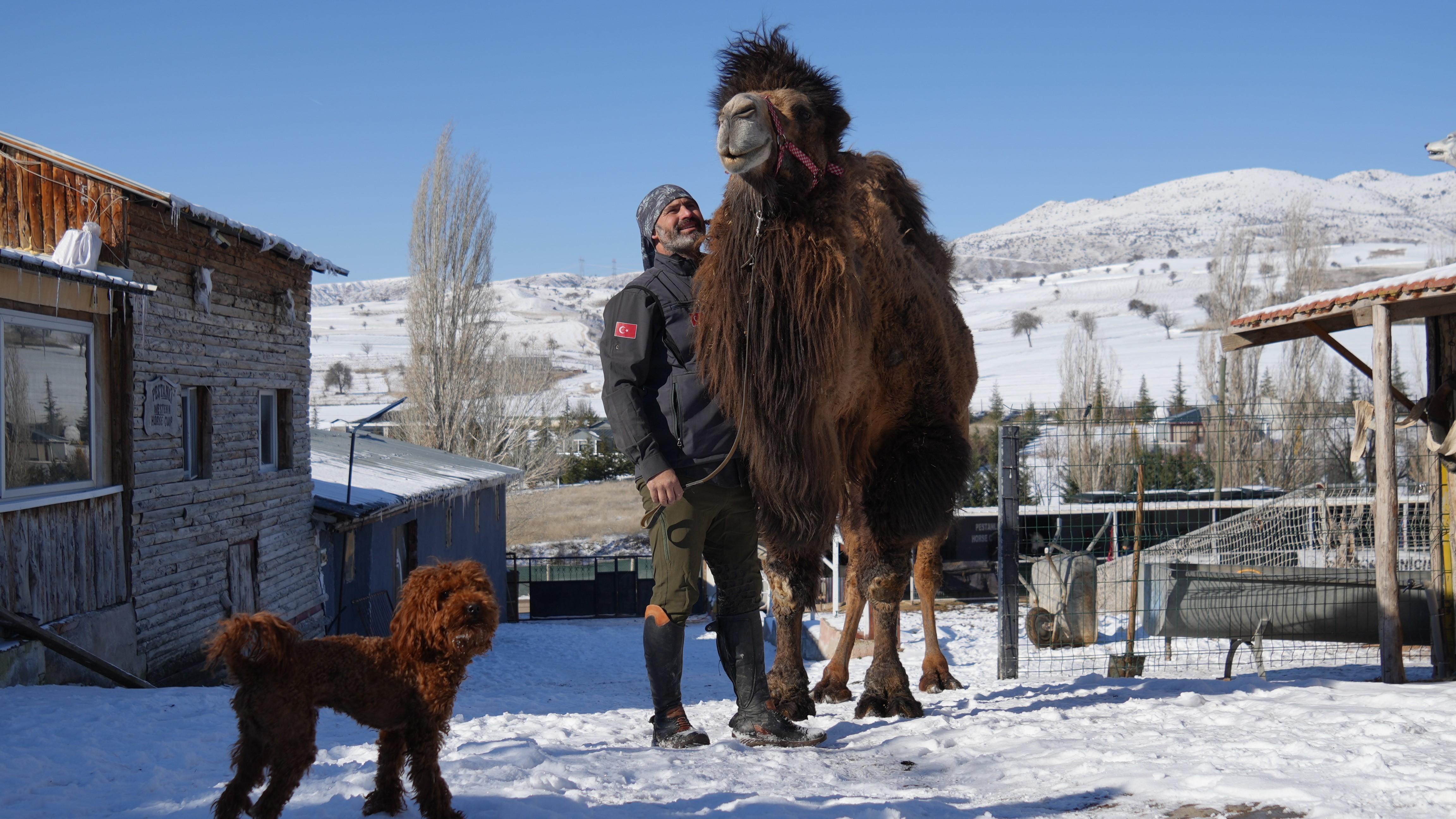 Hayvanlarlayaşam (8)