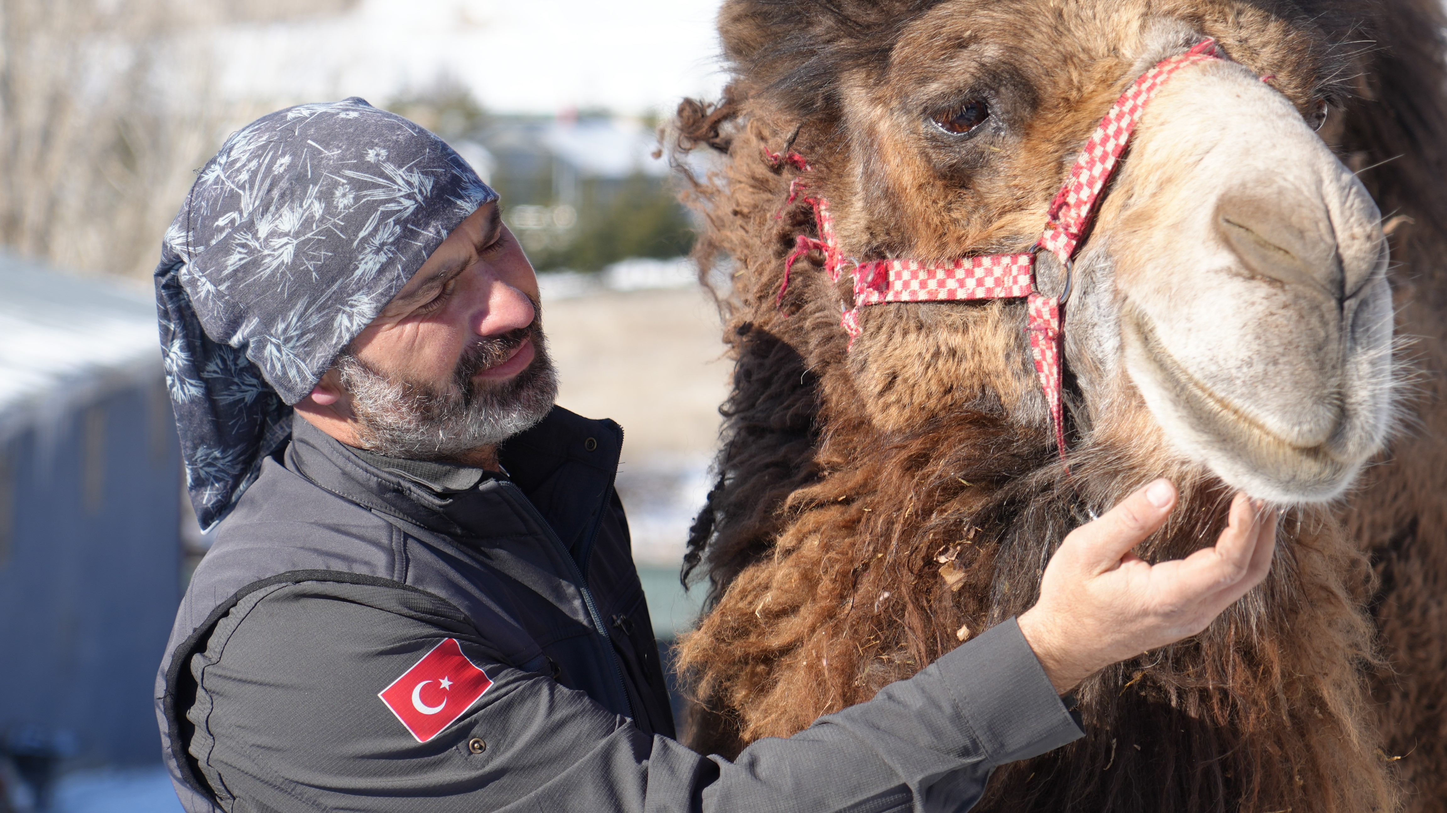 Hayvanlarlayaşam (9)