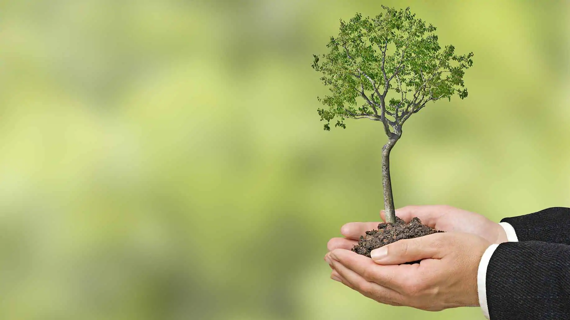 Karbon Ayak Izi Kucultme