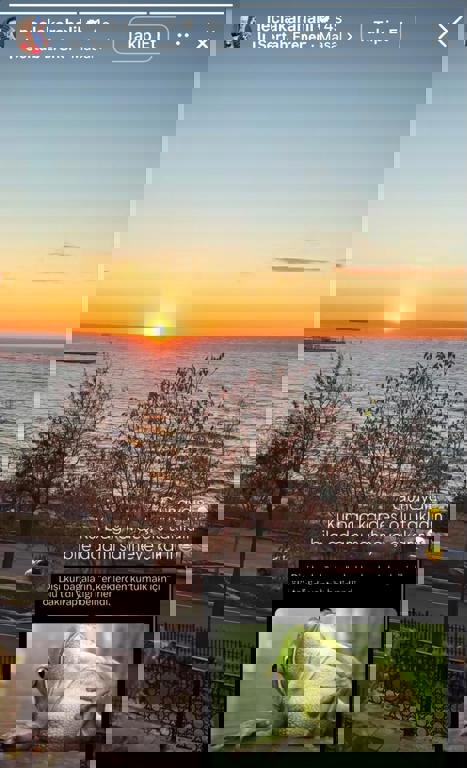 Necla Karahilal Paylaşım