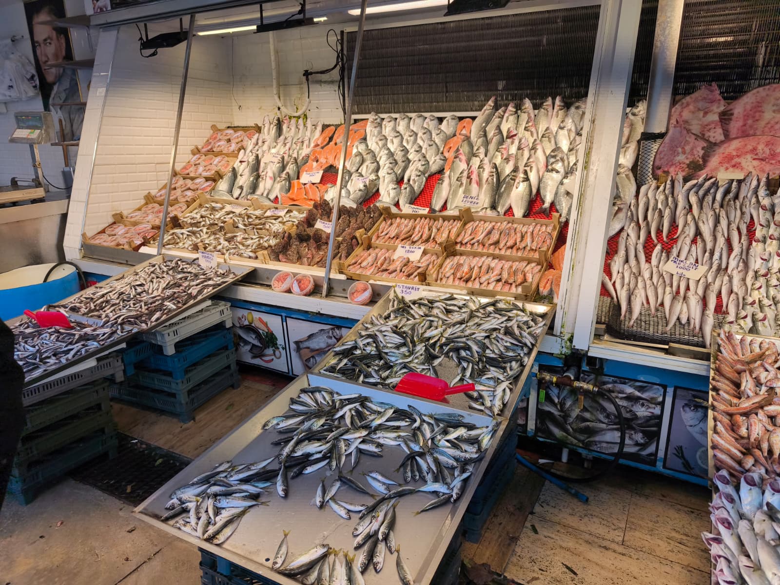 Soğuk Hava Balık Tezgahlarını Canlandırdı Hamsi Ve Istavrite Yoğun Ilgi 1