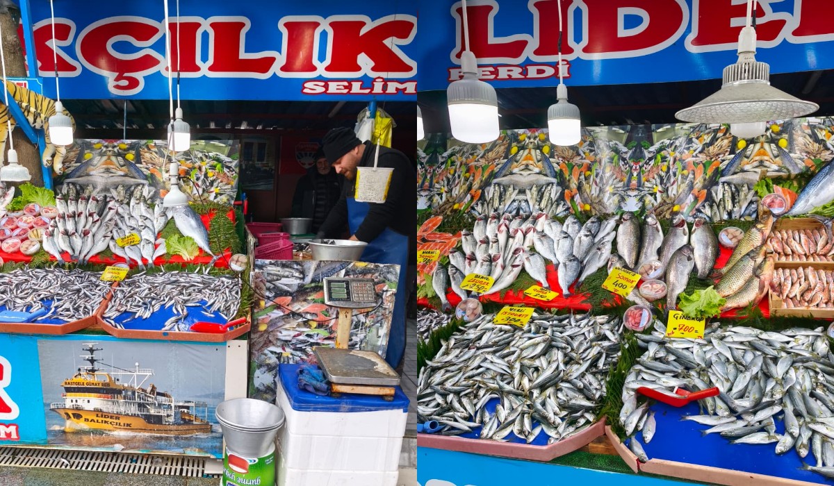 Soğuk Hava Balık Tezgahlarını Canlandırdı Hamsi Ve Istavrite Yoğun Ilgi 3