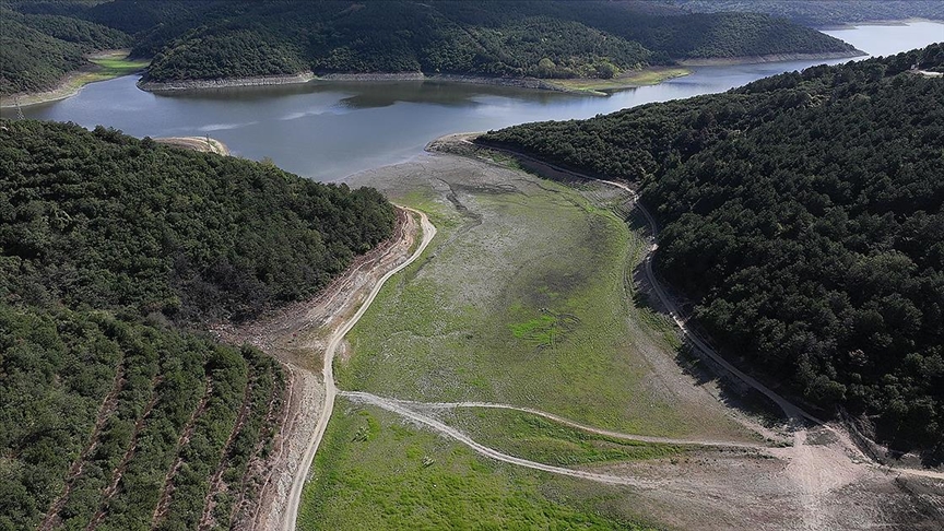 Thumbs B C 202Ea2B4920363F3A5B993662569C027