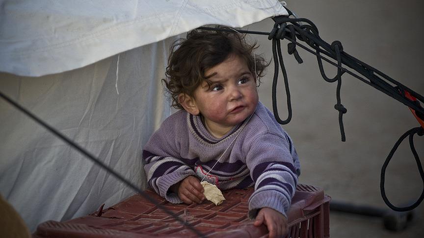 Thumbs B C C112Fa6Dfaa44Add662F3D3709B6F4F3