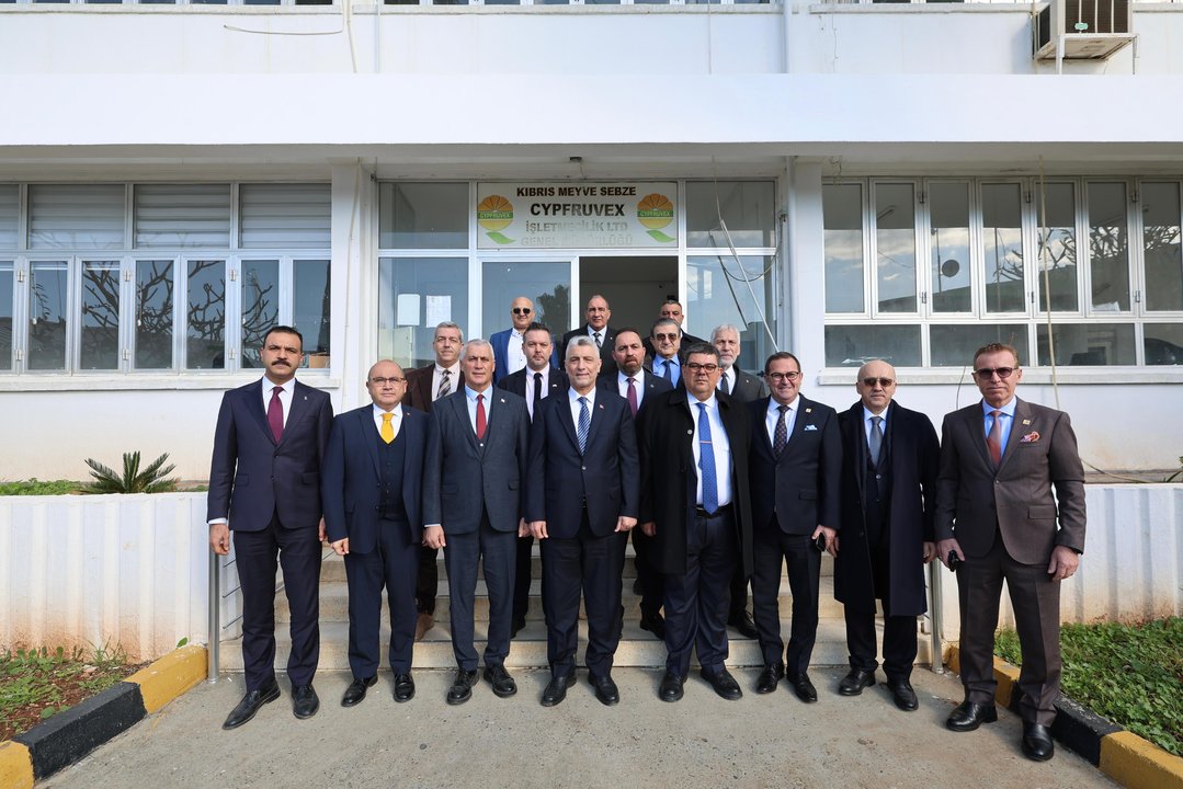 Whats App Image 2026 01 20 At 12.58.11