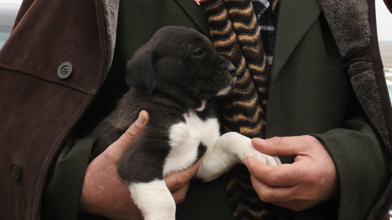 Whatsapp Image 2026 01 24 At 11.23.25 (1)